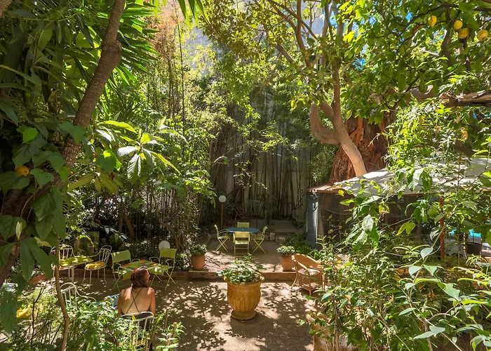 Le Windsor, Jungle Art Hotel